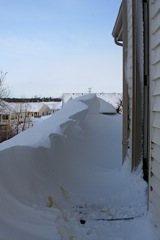 Snow Drift