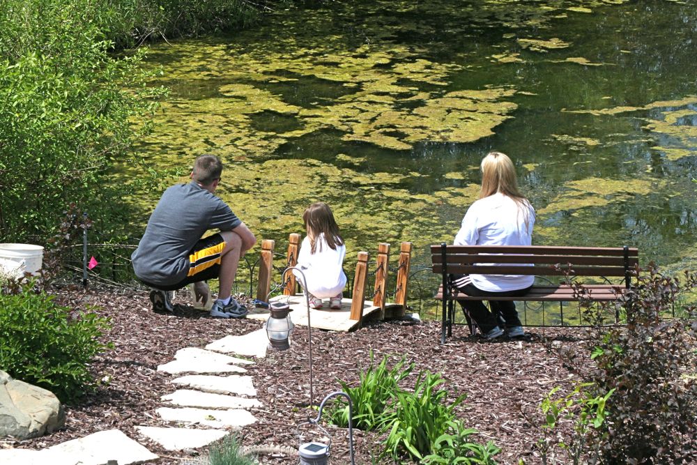 Family Fishing